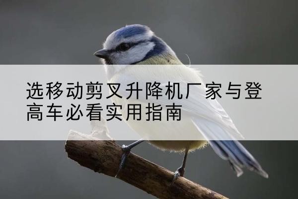 金州电动升降机厂家-选移动剪叉升降机厂家与登高车必看实用指南