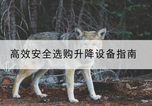 金州升降货梯厂家推荐-*安全选购升降设备指南